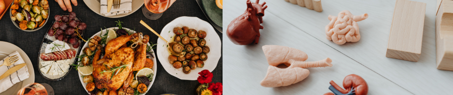 food and human body 3